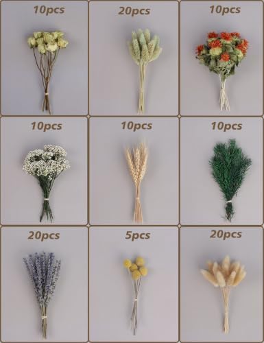 Dried Flower Box, Craft Pack, Mini Preserved Flower, Dry Flowers Epoxy Resin, Jewelry Craft, DIY Material, Candle Making. (Green)