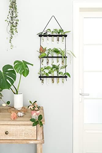 Mkono Plant Propagation Station, 3 Tier Black Wall Hanging Vase Test Tubes