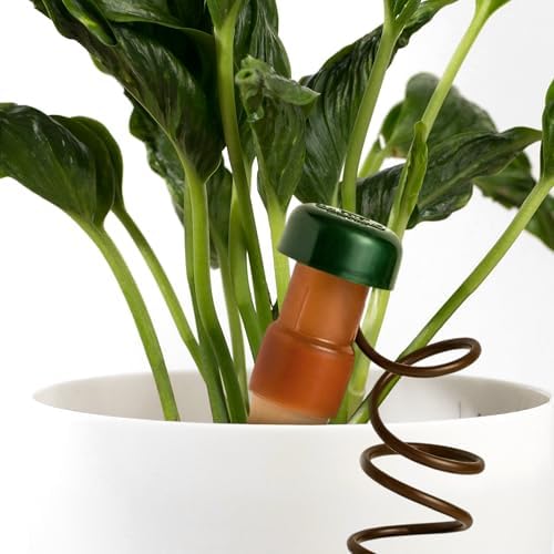 Blumat Classic Self-Watering Stakes - Prevents Overwatering and Underwatering for Healthy Growth While You are Away - Ideal for Indoor Plant Watering, 3 Pack, w Adapter