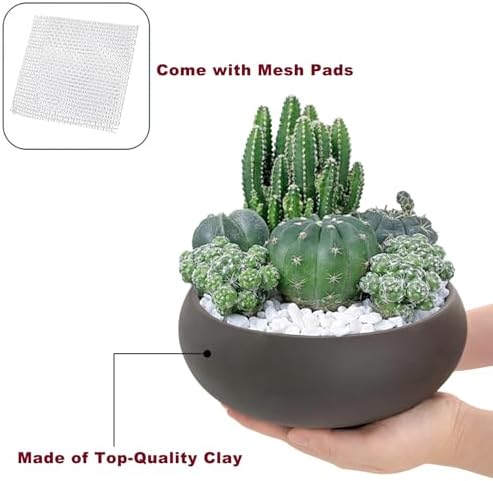 Bonsai Pot 8" Unglazed Round Ceramic Succulent Planter + Drainage Screen
