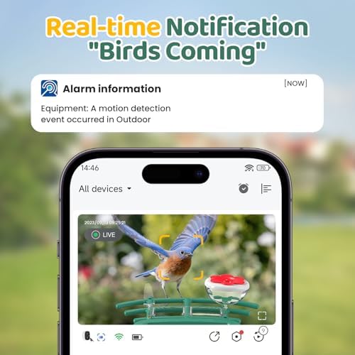 Bird Feeder with Camera Outdoor Solar: Smart Birdfeeder with AI Recognition - 2K HD Live Stream Video Camera for Outside Wild Birds Garden Decor - Bird Lover Gifts