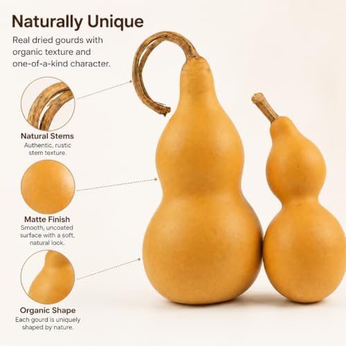 DECHOUS 2Pcs Natural Gourd Decor Chinese Wu Lou Sculpture Feng Shui Decor for Home Desktop Decoration DIY Crafts, Gourd Height About 9-14cm