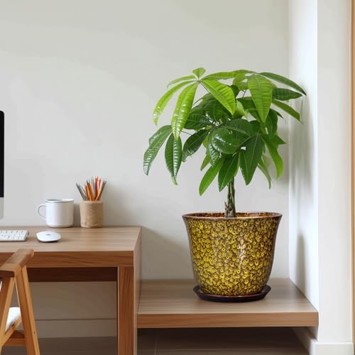 Ceramic Pots for Plants, 10 Inch Plant Pot for Indoor, Yellow