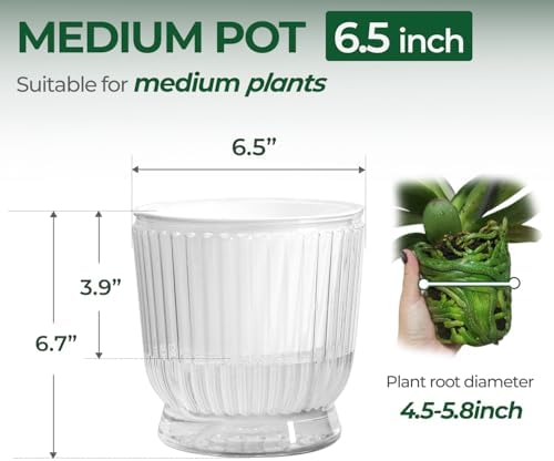 T4U Self Watering Pots for Indoor Plants 6 Inch 4 Pack Planter Clear