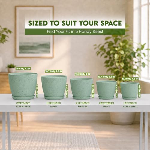 Plant Pots Indoor with Drainage 5 Pack Multi-Size Planters Set Spotty Mint