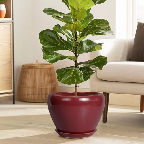 Ceramicfor 10 Inch Plant Pot, Ceramic Planter, Red