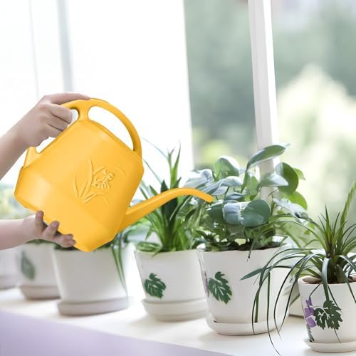 Plant Watering Can - 1/2 Gallon - Orange