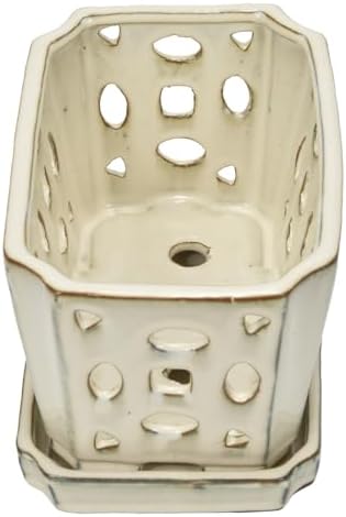W&W Orchid Pot with Holes and Saucer for Repotting, Cream White, 9.7 Inch