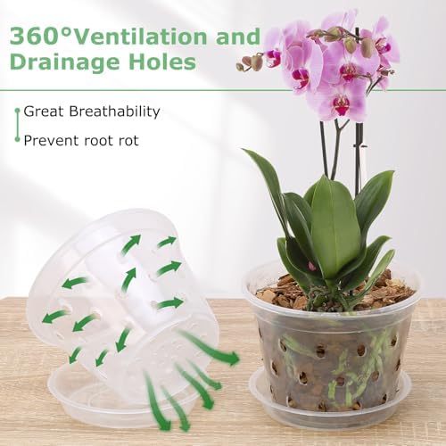 Orchid Pot, 3 4 5 6 Inch 8 Pack Orchid Pots with Holes and Saucers