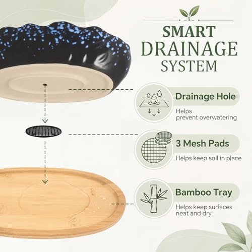 10 Inch Oval Ceramic Shallow Succulent Planter with Tray, Starry Blue