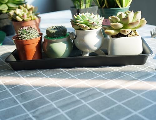 VUWEZ 2 Pack Plastic Plant Saucer, Rectangular, Indoors Outdoor, Drip Tray for Flower Pot, Windowsill (6 X 11 Inch, Black)