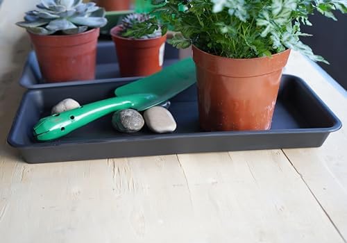 Vuwez Plant Saucer Tray, Heavy Sturdy Long Narrow Plastic Plant Saucers Drainage Trays for Indoors No Holes, Plant Drip Trays for Pots Base, Seed Starter Growing Tray (6.5 X 13 inch, Black)