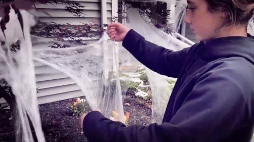 200 Sq. Ft Spiderweb Coverage, Indoor & Outdoor Use, Creepy Spiders Included, Garden Decor (White, 200 SQ FT) Spider Web