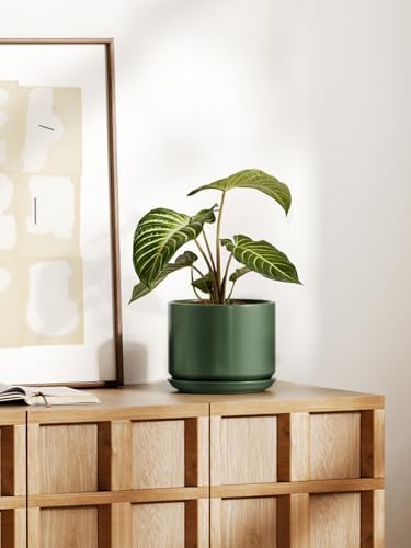 LE TAUCI 8 Inch Plant Pot, Ceramic Pots for Plants, Forest Green