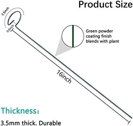 Thealyn 20 Pack 16 Inch Plant Support Stakes, Metal Single stemmed Flower Support Hoops，Garden Plant Stakes Plant Prop for Amaryllis Orchid Lily Rose Peony Tomatoes Gladiolus