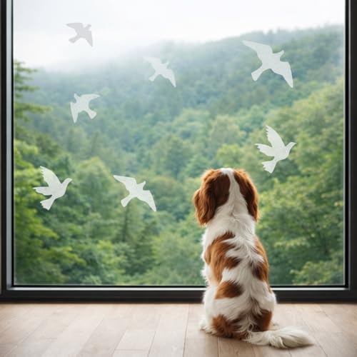 Anti Collision Window Bird Stickers Decals Glass Door Protect and Save Bird Strikes (Transparent 36 Pcs)