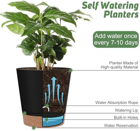 YNNICO Indoor Self Watering Planters with Drainage Holes and Saucers, 8, 7, 6.5, 6, 5.5, 5 Inches, Black, 6 Pots (Pack of 2)