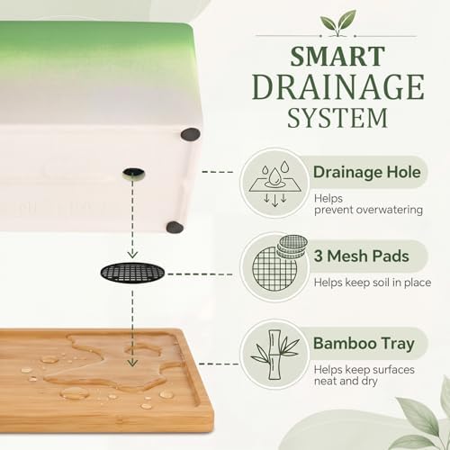 12 Inch Rectangular Ceramic Shallow Succulent Planter with Tray, Green