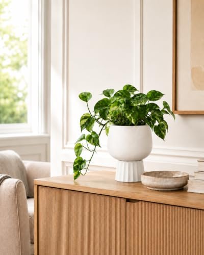 Self Watering Pots for Indoor Plants, 6 Inch Ceramic African Violet Pot