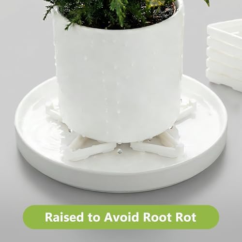 Li&Zhao 20pcs Pot Feet with 5pcs Fertilizer Cages, Plant Stand Risers for Indoor Outdoor Planters, Ceramic Pot Feet and Plant Stand Support for Gardening, Durable Pot Feet for Outdoor Planters (White)