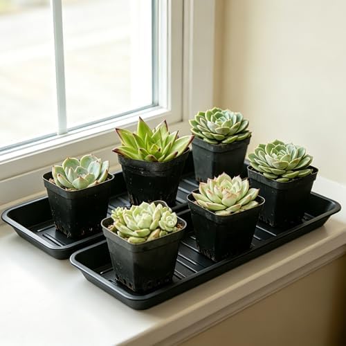6 Pack Plastic Plant Trays Rectangular 14 Inch, Indoor Outdoor Plant Saucers with Drip Protection, Windowsill Planter Tray, 7 x 14.5 Inches, Black