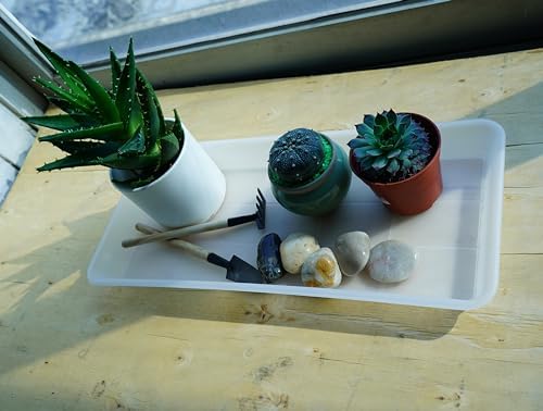 VUWEZ 6 Pack Plastic Plant Saucer, Rectangular, Indoors Outdoor, Drip Tray for Flower Pot, Windowsill (6 X 11 Inch, Clear)