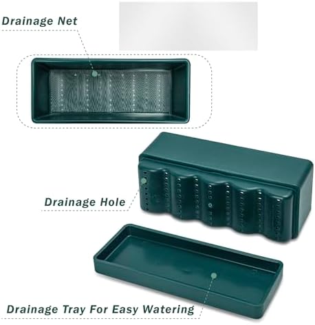 D'vine Dev Rectangular Planter, 12 x 4.5 in, Green, Set of 1, 76-X-C-1
