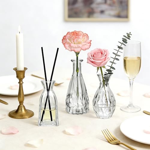 Glass Bud Vases in Bulk, 3pcs Small Glass Vase for Centerpieces
