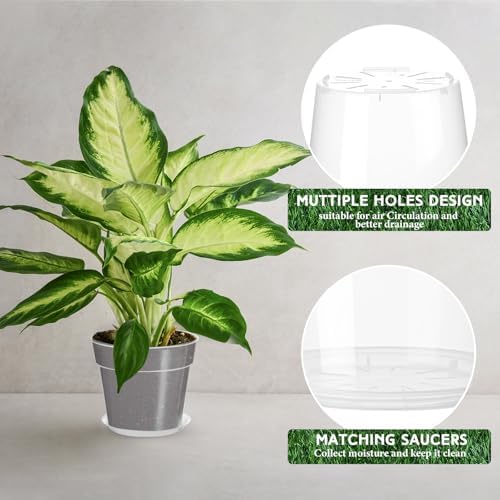 Baderke 6 Pack Clear Nursery Pot,11.65 Inch