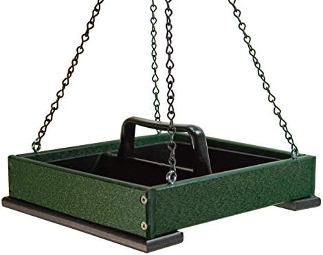 JCs Wildlife Poly Lumber Hanging Tray Platform Bird Feeder with Removable Seed Tray - Backyard Open Platform Cardinal Feeder (Green, Medium)
