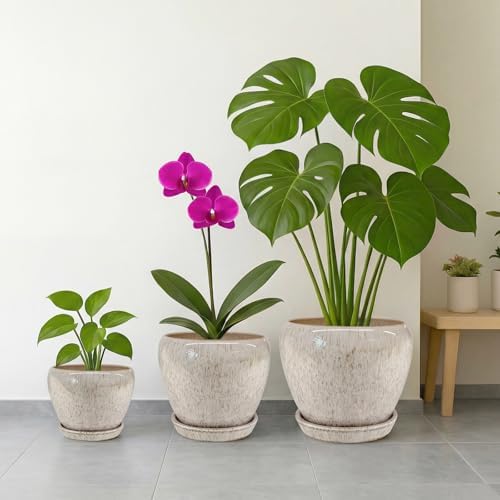 Deep Dream 8 Inch Plant Pots- Ceramic Pots for Plants with Drainage Hole and Saucer, Large Planter Pot for Indoor Plants Outdoor Decor, Beige