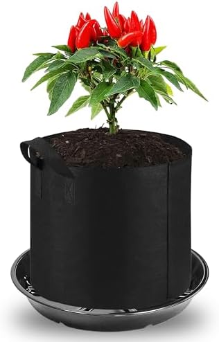 6 Pack of 6 Inches Plant Saucers for Indoor, Durable Plant Saucer Pot Tray, Round Plastic Flower Plant Dish Pant Plate to Catch Water, Black