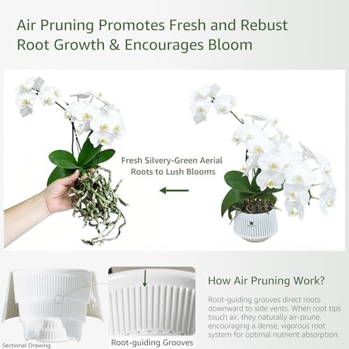 Orchid Pots with Holes for Repotting, Decorative African Violet Pots with Air-Pruning and Good Air Circulation, Plastic White Orchid Planter with Saucers, 5 Inch, Set of 1