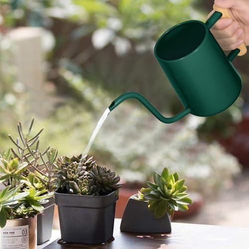 Watering Can Indoor Plants, 35 oz/1000 ml Metal Stainless Steel Watering Can Pot with Long Spout for Indoor House Plants Bonsai Outdoor Garden Flower Decorative (Alpinegreen)