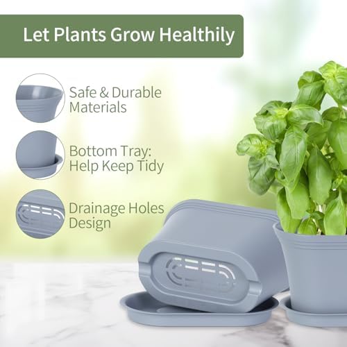 Oliz 6pk Windowsill Planters, Grey Plastic w/Drain Tray - Indoor/Outdoor
