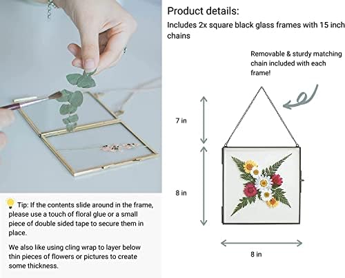 Glass Frame for Pressed Flowers, Leaf and Artwork - 8x8 Black Hanging Square Metal Picture Frames, Clear Double Glass Floating Frame, Wall Decor Photo Display, Set of 2 Flower Press Frames with Chain