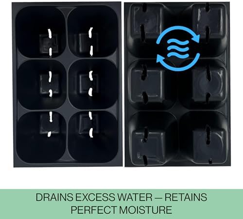 Seed Starter Trays, 144 Cells (24 Trays - 6 Cells Per Tray) + Plant Stakes