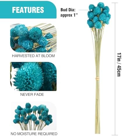 MIHUAGE Dried Flower Tiffany Blue Globe Amaranth with Wheat Straw Natural - 40PCS Bouquet for Vase Home Decor Party DIY Arrangement