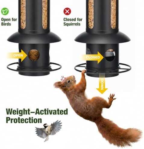 Kingsyard Squirrel Proof Hanging Bird Feeder for Outdoors