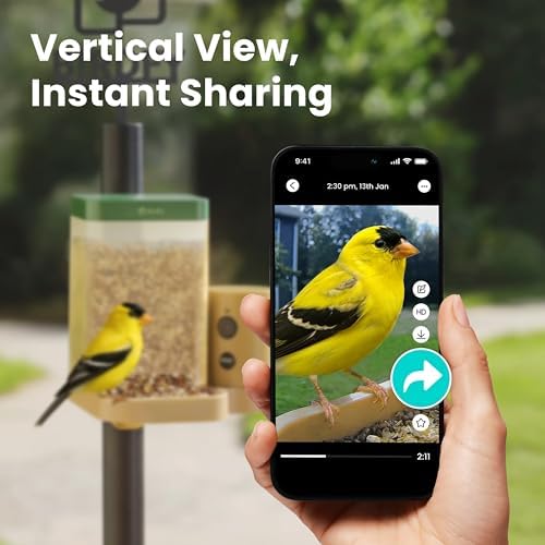 Birdfy Smart Bird Feeder with Camera for Beginners, Rookie AI 7 Day Trial