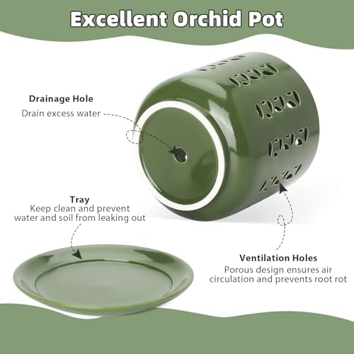 BUYMAX 5&6 Inch Ceramic Orchid Pots with Holes & Trays Root Care Planter