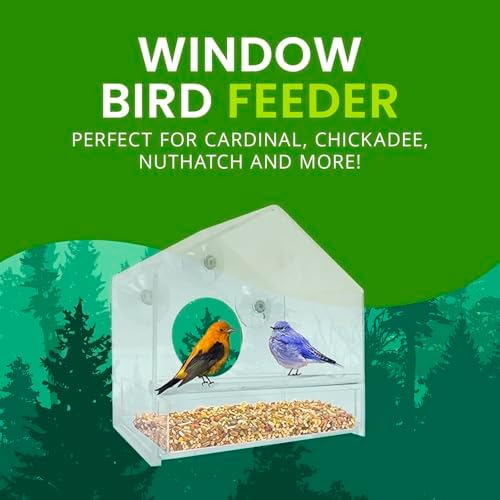 Nature Gear Window Bird Feeder with Strong Suction Cups, Clear Acrylic Window Mounted Bird Feeder, Removable Sliding Tray, Weather-Resistant, Durable, Squirrel-Resistant, House Style