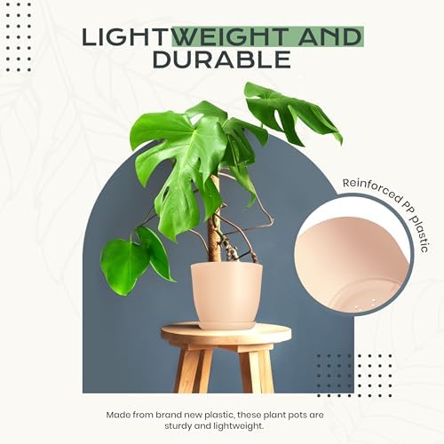 Plant Pots Indoor with Drainage, 10 Pack Multi-Size Planters Set, Pink