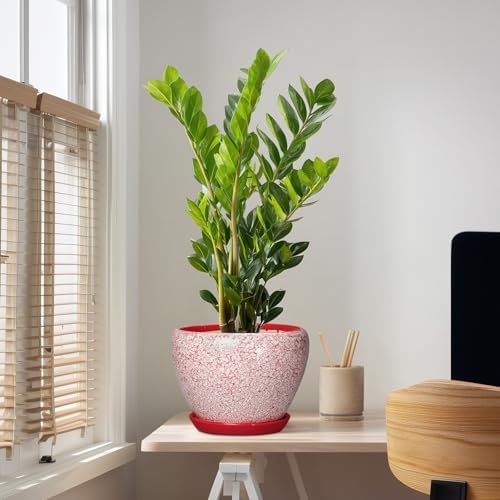 10 Inch Pots for Plants, Ceramic Planter Pots, Crackle Red