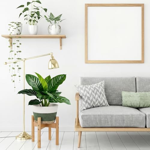 Remerry Plant Basket with Stand, Cotton Rope and Wicker Plants Baskets Indoor with Plastic Liner and Stand, Green White Woven Flower Pot for Indoor Home Living Room Floor Potted Decor(12inch)