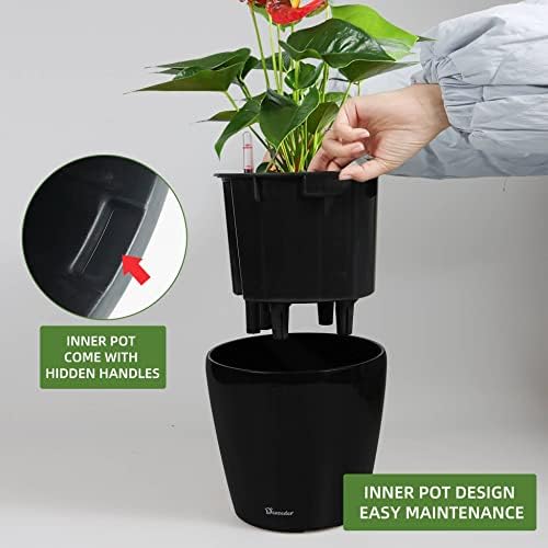 Dexceder 9x8 Self Watering Planter (Black High Gloss)
