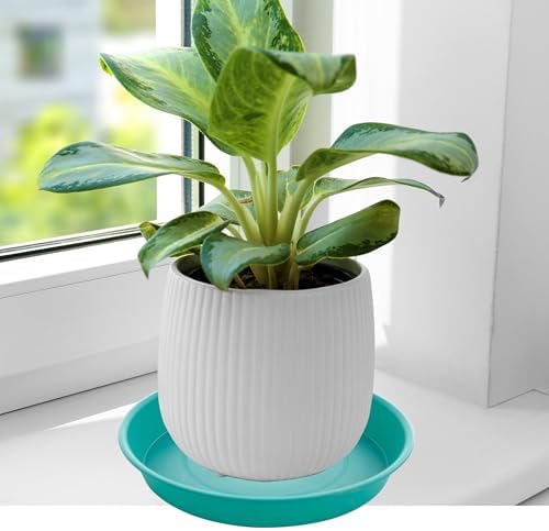 2 Pack of 10 inch Plant Saucer Gray, Heavy Duty Plastic Plant Saucer 10 inch Round, Durable Plant Tray for Pots, Plant Saucers for Indoors, Plant Trays for Planter 9"/10" (10", Teal)