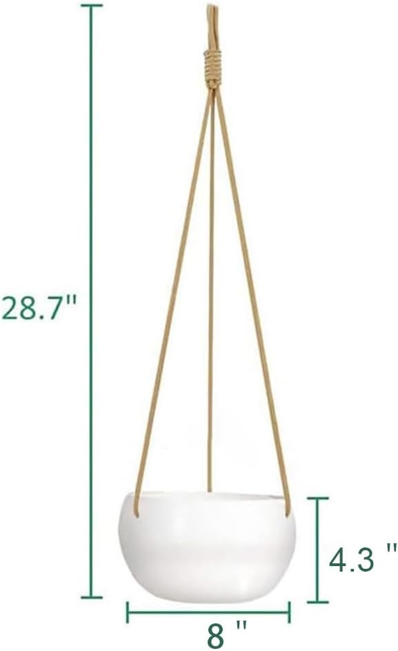 Ceramic Hanging Planters for Indoor Outdoor Plants,8 in Modern Plant Pot Round Porcelain Hanger Basket with Rope