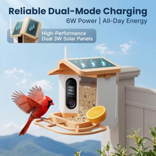 Smart Bird Feeder with 2K Camera Solar Powered, AI Identify Bird Species