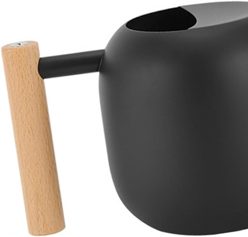 Small Watering Can Indoor Plants, 40oz/1.2L Garden Watering Can, House Plant Watering Can Cute Watering Pot with Long